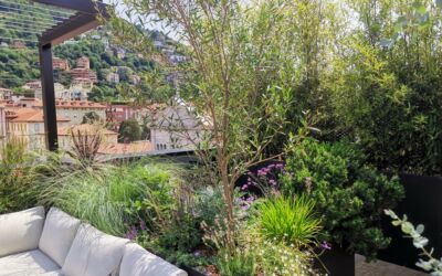 Terrazzo verde, foto Lefty Gardens