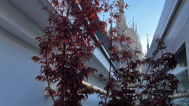 Foto: Palco sul Duomo